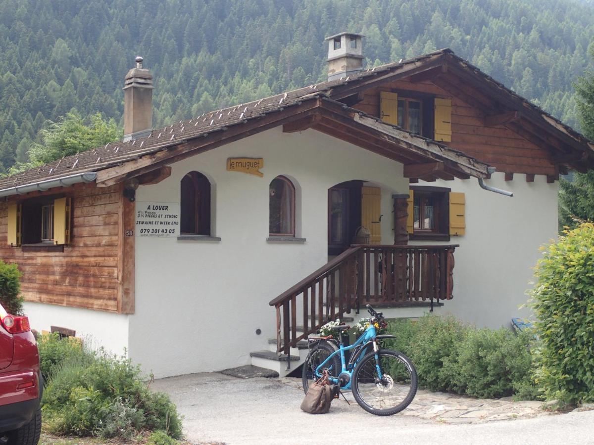 Chalet Le Muguet Villa Ovronnaz Esterno foto